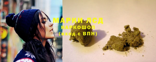 ПСИЛОЦИБИНОВЫЕ ГРИБЫ Алексеевка