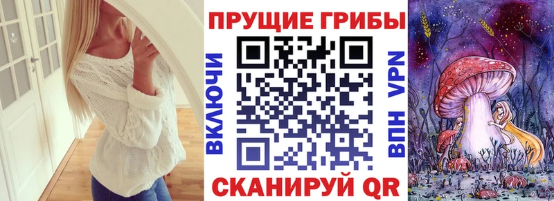 Псилоцибиновые грибы Cubensis  mega ссылка  Майкоп 